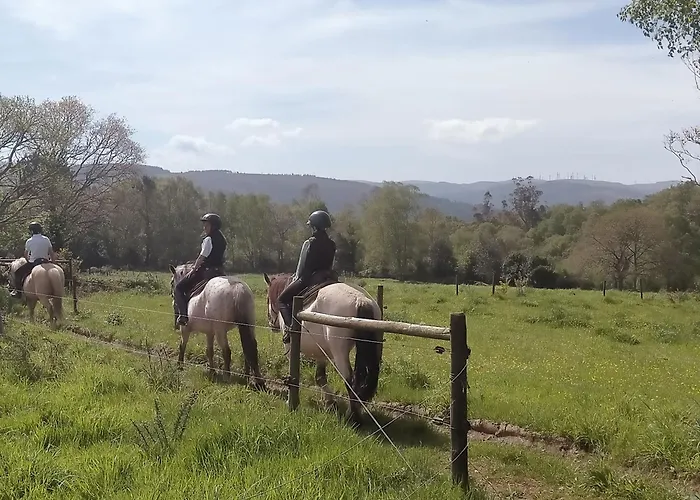 Granja Labrada: Alojamiento Con Caballos