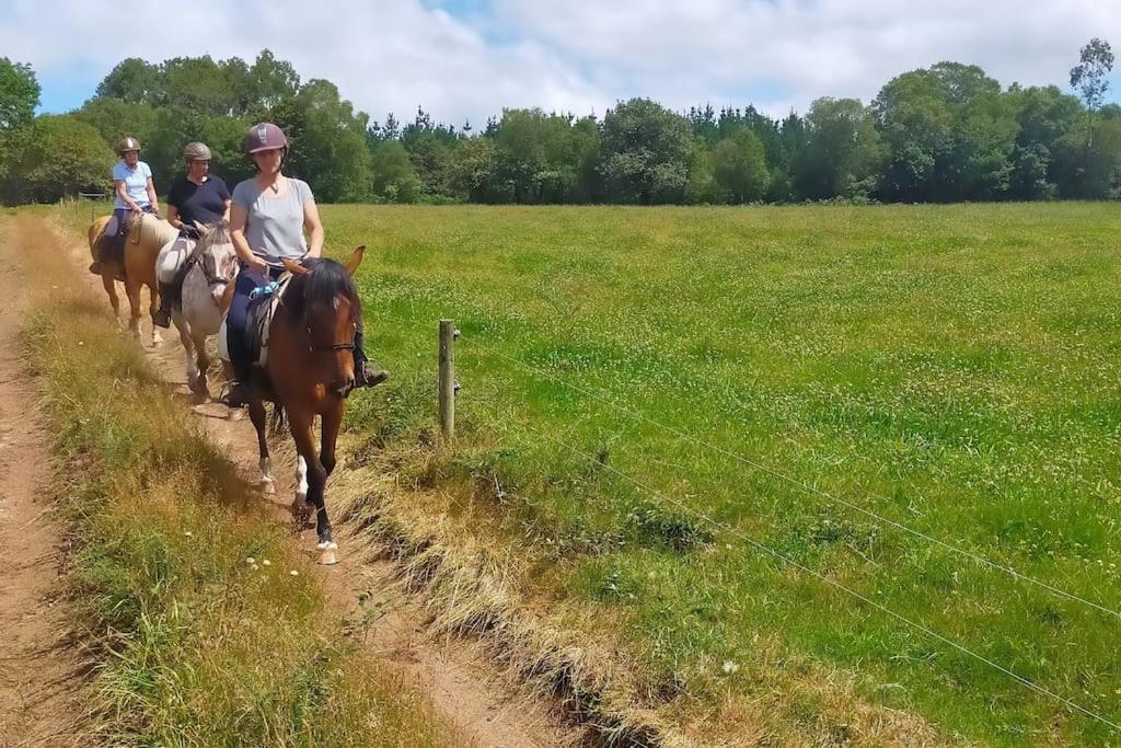 Appartement Granja Labrada: Con Caballos