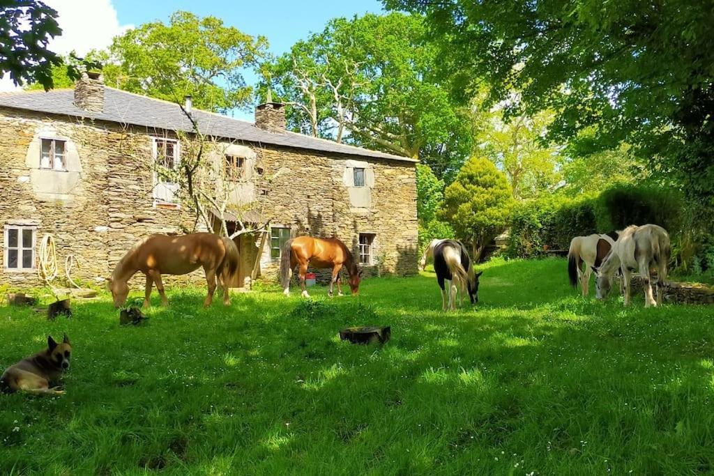 Granja Labrada: Con Caballos *