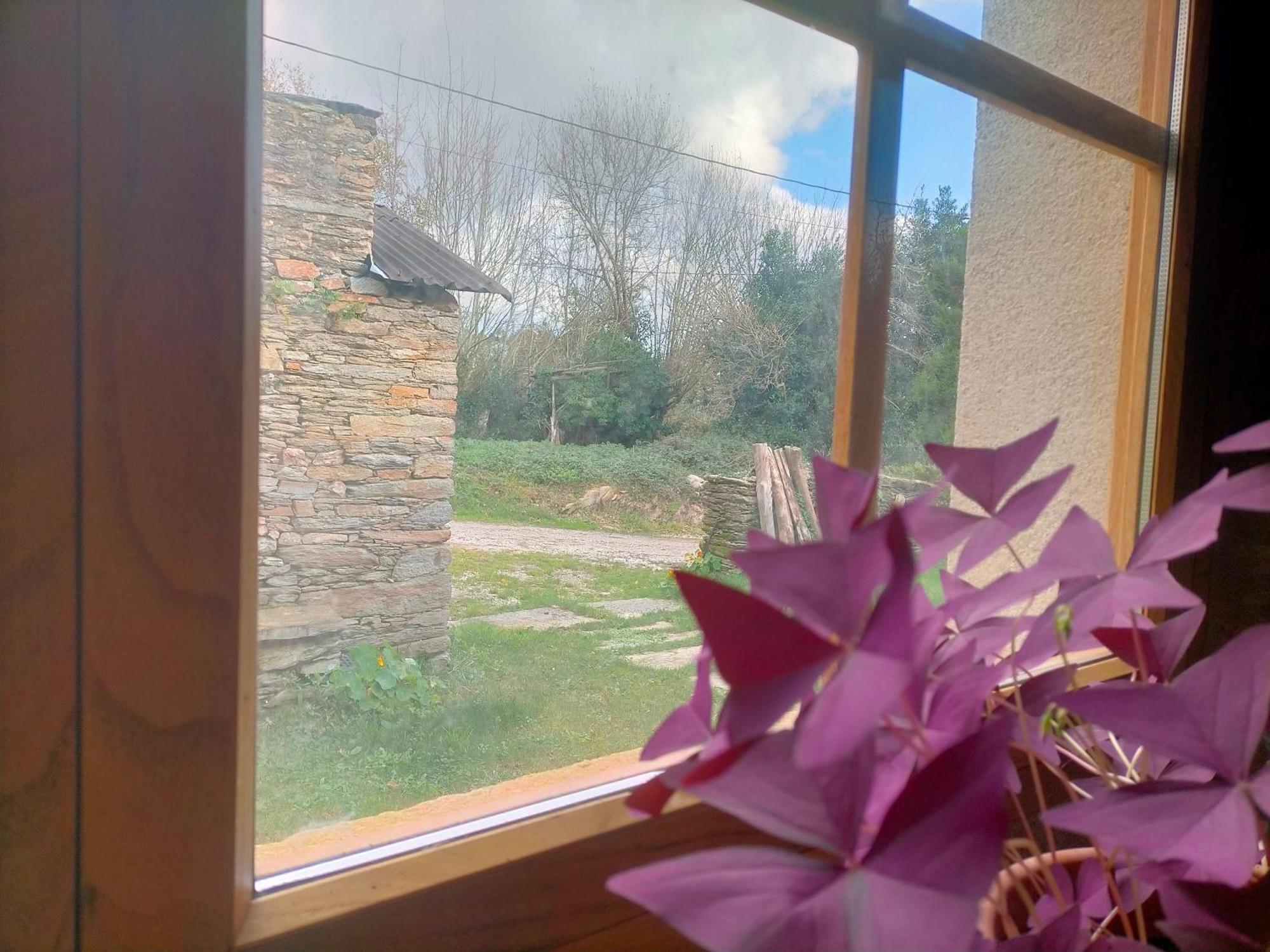 Appartement Granja Labrada: Con Caballos