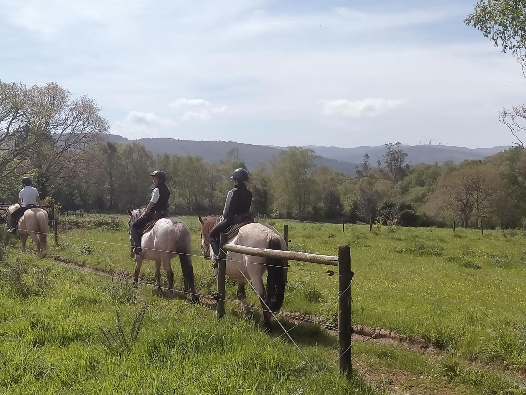 Apartment Granja Labrada: Con Caballos Manon