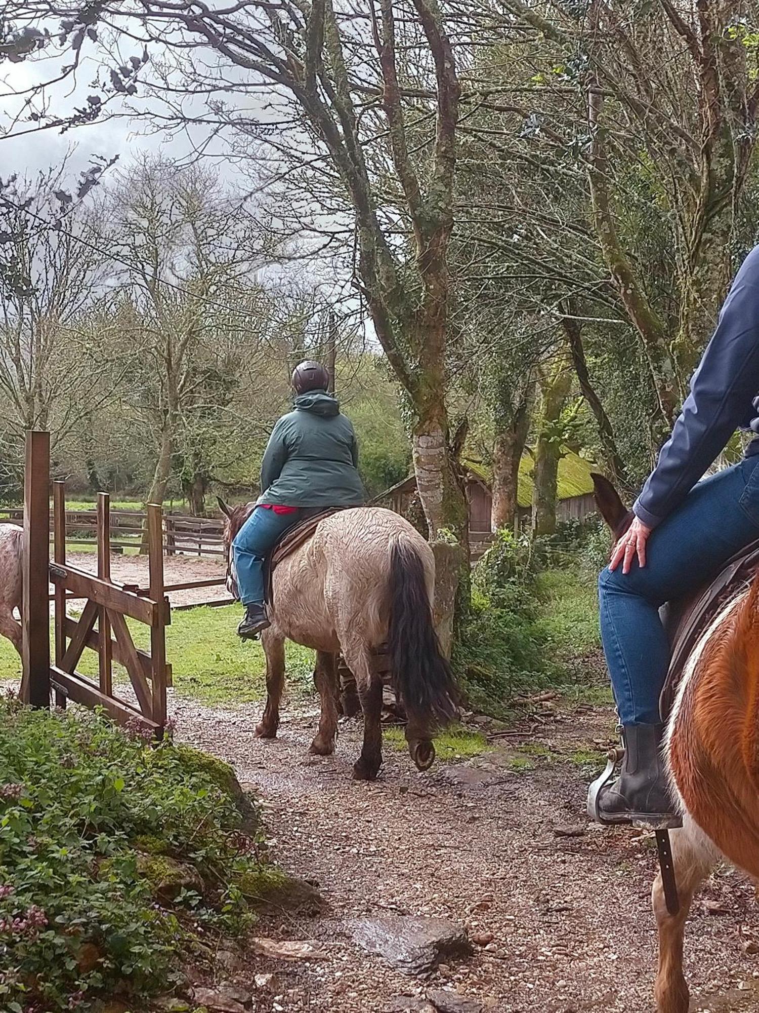 Granja Labrada: Con Caballos Appartement Manon